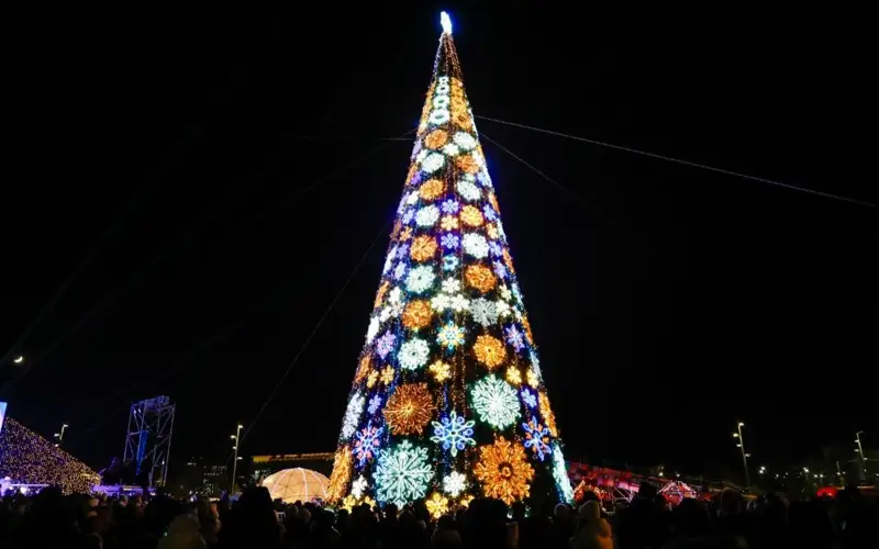 Main New Year Tree lights up in Astana