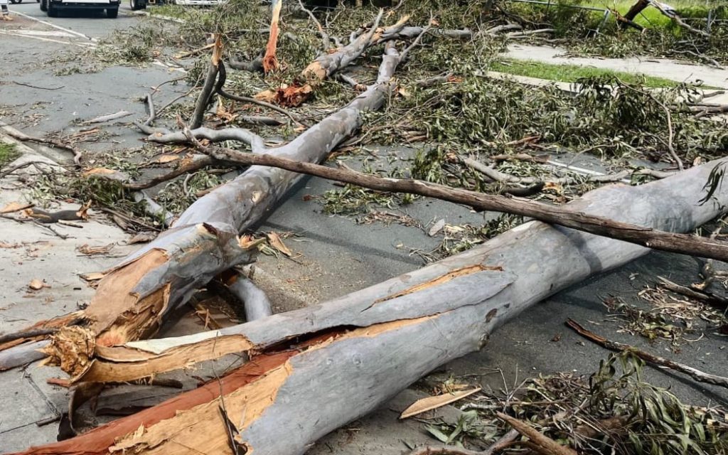 Australia: 8 dead, 1 missing amid severe thunderstorms