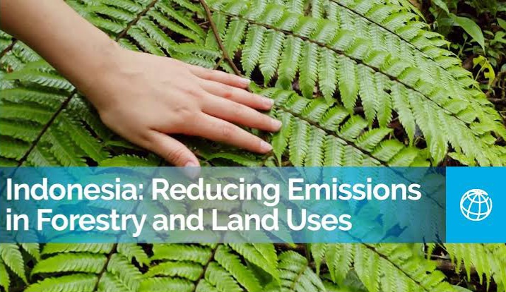 Indonesia and U.S. Collaborate to Reduce Forestry Sector Emissions