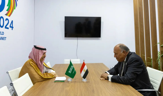 Saudi and Egyptian FMs Confer on Bilateral Ties and Regional Developments