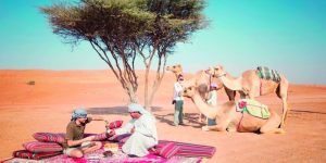 Optimistic Projections for Oman Tourism Sector as Arrival Numbers Set to Exceed 5 Million in 2024