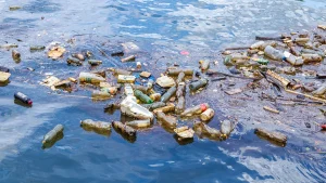 Indonesia and UAE Join Forces to Combat Plastic Waste