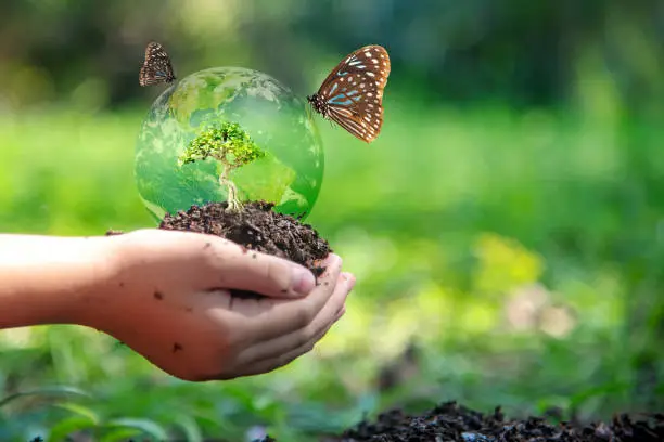 China Plans Major Biodiversity Conservation Projects