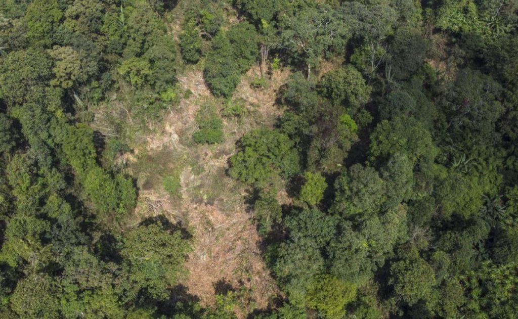 Indonesia Demonstrates Deforestation Decline at UN Forum on Forests