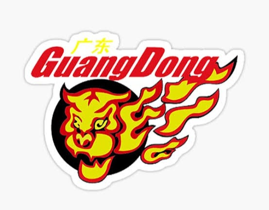 Guangdong Southern Tigers