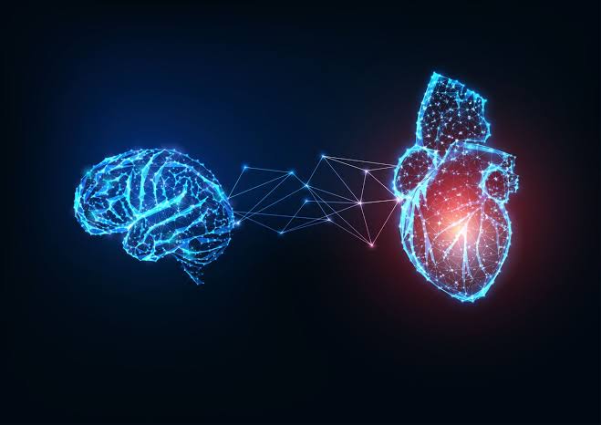 Heart and Brain: