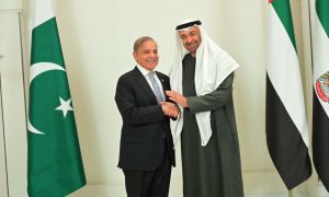 President of UAE Receives Pakistani PM Muhammad Shehbaz Sharif