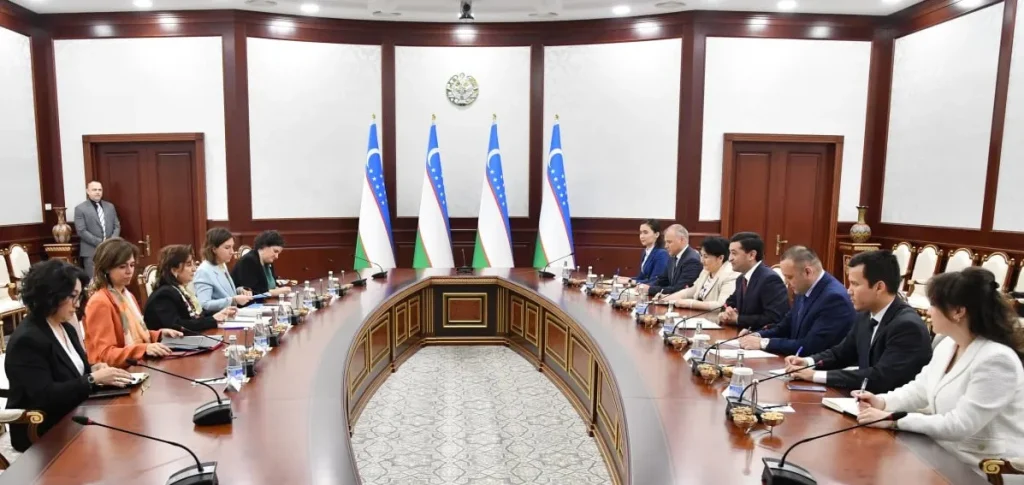 Minister of Foreign Affairs of Uzbekistan Meets with UN Women Executive Director