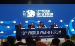 Indonesia Offers Investment Opportunities to Elon Musk in Space and EV Sectors