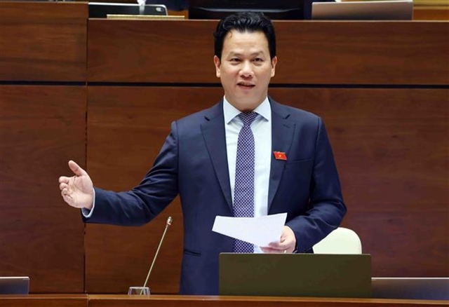 Vietnam Possesses Significant Rare Earth Reserves, Says Minister