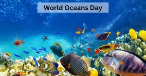 Oman Celebrates World Oceans Day with Emphasis on Ocean and Climate Action