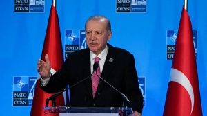 Erdogan Calls on NATO to Persuade Netanyahu for Gaza Truce