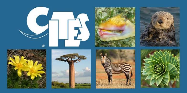 CITES