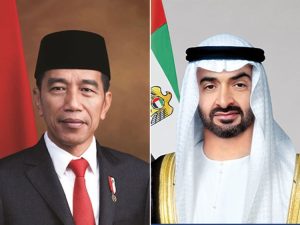 President of UAE Receives Call from Indonesian President Joko Widodo