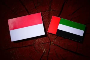 UAE and Indonesia Sign MoU to Enhance Cooperation in Public Financial Management