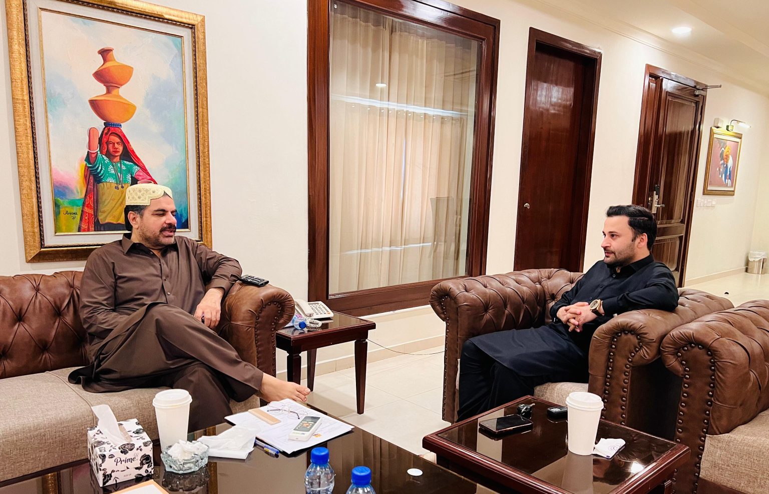 Qaiser Nawab Meets with Minister Syed Nasir Hussain Shah - The Gulf ...