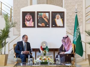 Saudi, Egyptian FMs Engage in High-Level Talks on Gaza Crisis