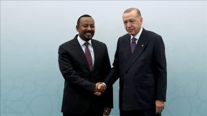 Erdogan and Ethiopian PM Discuss Bilateral Ties and Regional Tensions