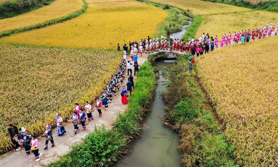 President Xi Extends Festive Greetings Ahead of Chinese Farmers' Harvest Festival