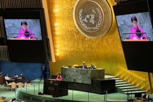 Indonesia Announces Candidacy for Non-Permanent Seat on UN Security Council for 2029-2030