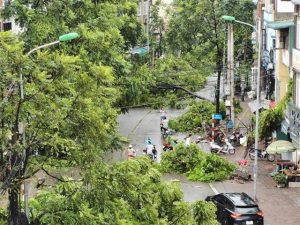 Typhoon Yagi Strikes Hanoi: One Fatality, Thousands of Trees Uprooted