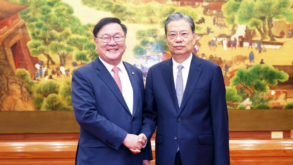 China's Top Legislator Meets with South Korean Parliamentarian Delegation in Beijing