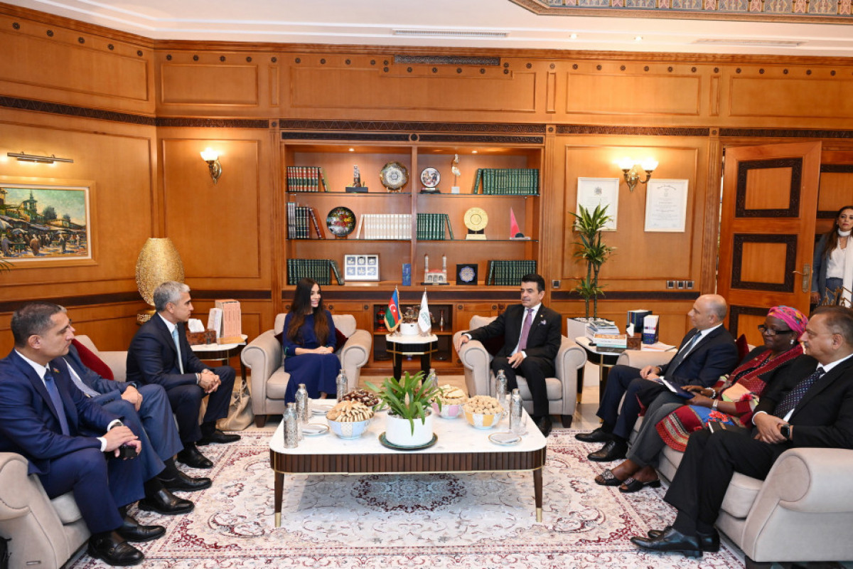 Leyla Aliyeva, Vice President of Heydar Aliyev Foundation, Visits ...