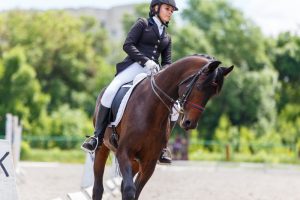 Equestrian Sports Industry