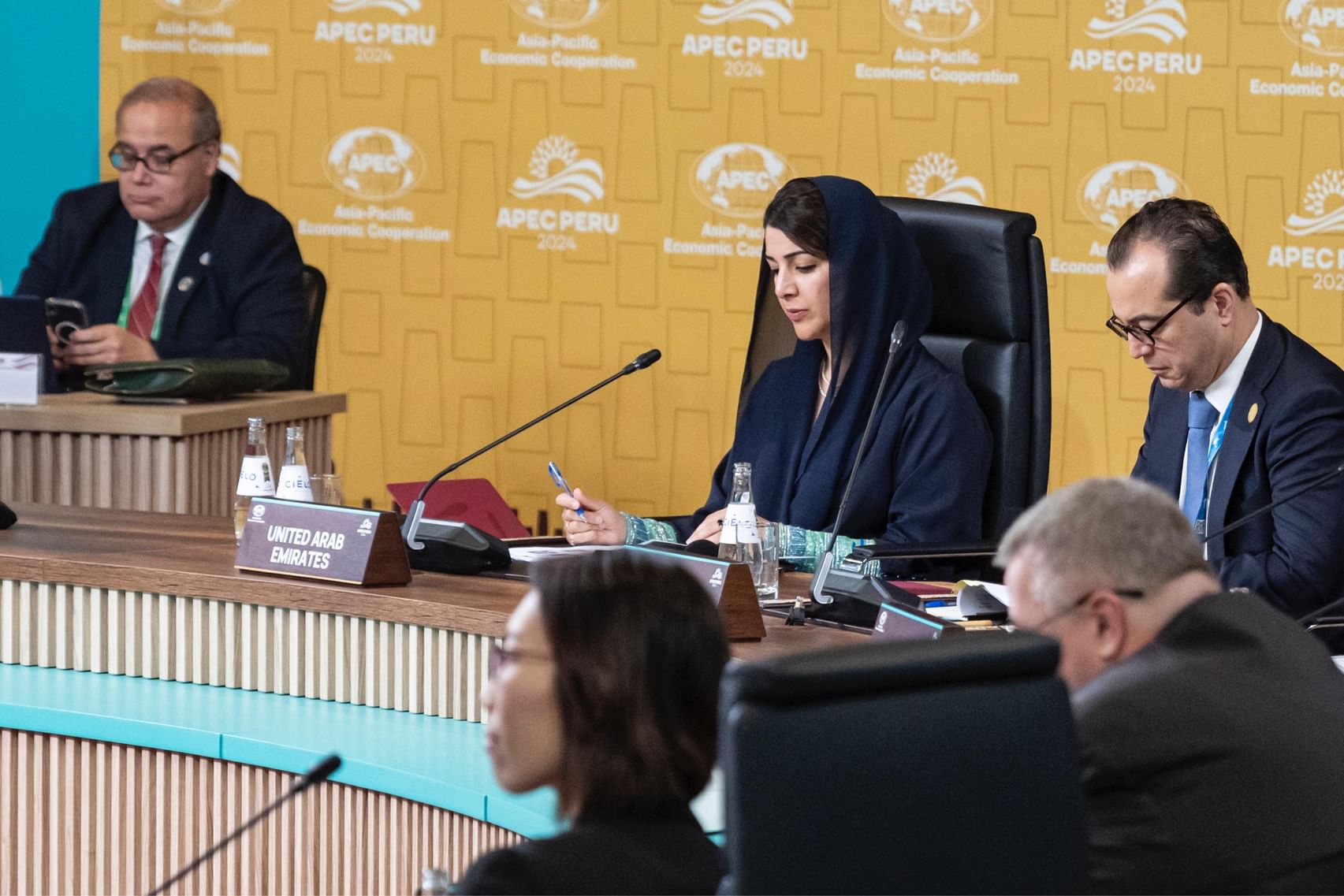 UAE Reaffirms Multilateral Commitment at 2024 APEC Economic Leaders ...