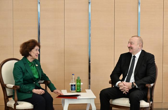 Azerbaijani and North Macedonian Presidents Discuss Strengthening Bilateral Relations