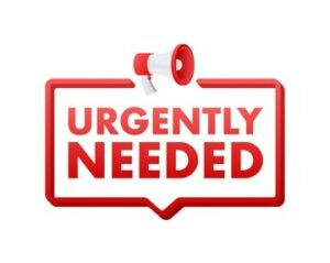 Reclaiming Our Dignity: The Urgent Need for Character Building