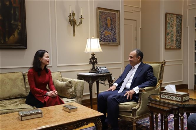 Vietnam and Egypt Strengthen Bilateral Ties Through Political Consultation
