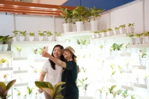 New Orchid Species, Trichoglottis Najibii, Unveiled at FLOII Expo 2024