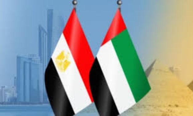 UAE and Egypt Discuss Regional Developments and Syrian Crisis