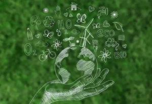 Ethiopia Reaffirms Commitment to Climate Change Mitigation and Green Development