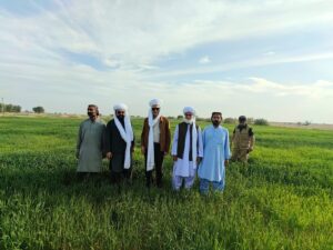 The Green Awakening: A Journey of Hope in Balochistan