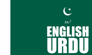 Forms of Expression of the Plurality of English Borrowings in the Urdu Language