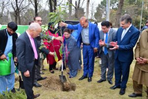 Collective Efforts Urged for Greener Economy Amid Climate Change Challenges