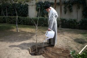 Ayatollah Khamenei Urges Nationwide Participation in Iran’s Tree Planting Movement