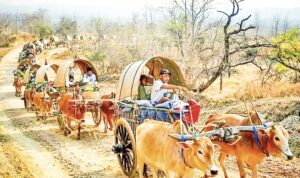 Mann Shwesettaw Pagoda Festival