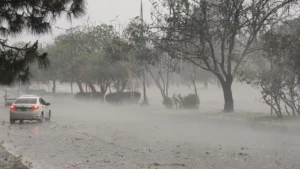 Hope in the Eye of Climate Storm