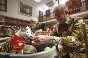 Australian PM Albanese Gifts Cat ‘Bobby Kertanegara’ Symbolic Scarf