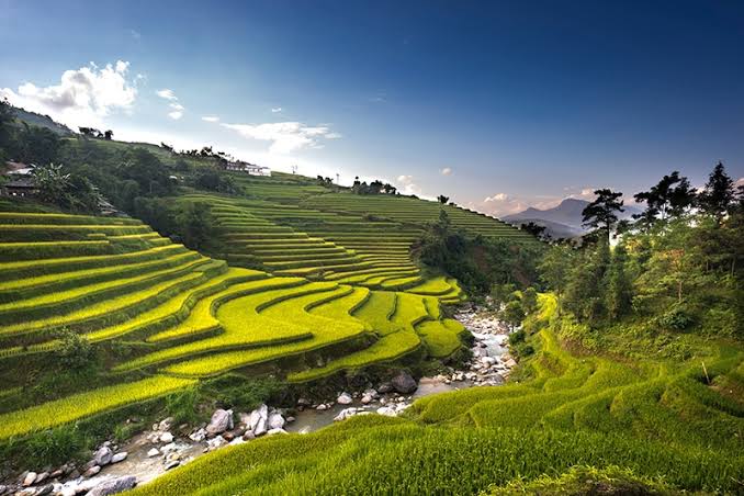 Philippines Launches “Bente Pesos na Bigas Meron Na” Program to Curb Inflation and Support Farmers