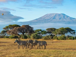 Kenya Targets 12.4 Percent Growth in European Tourist Arrivals Through Renewed Diplomatic and Marketing Efforts