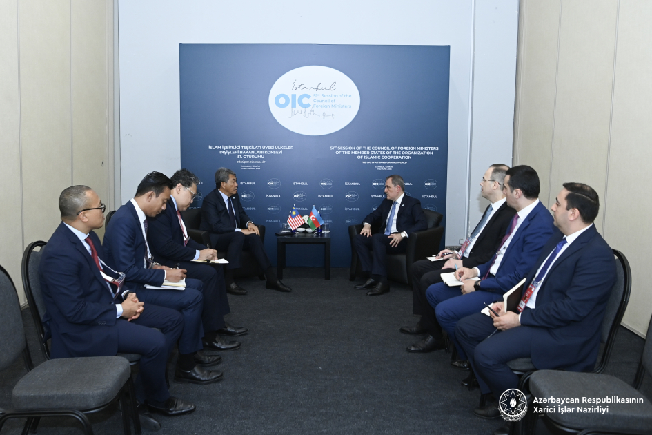 Azerbaijan and Malaysia Discuss Enhanced Cooperation on OIC Sidelines in Istanbul
