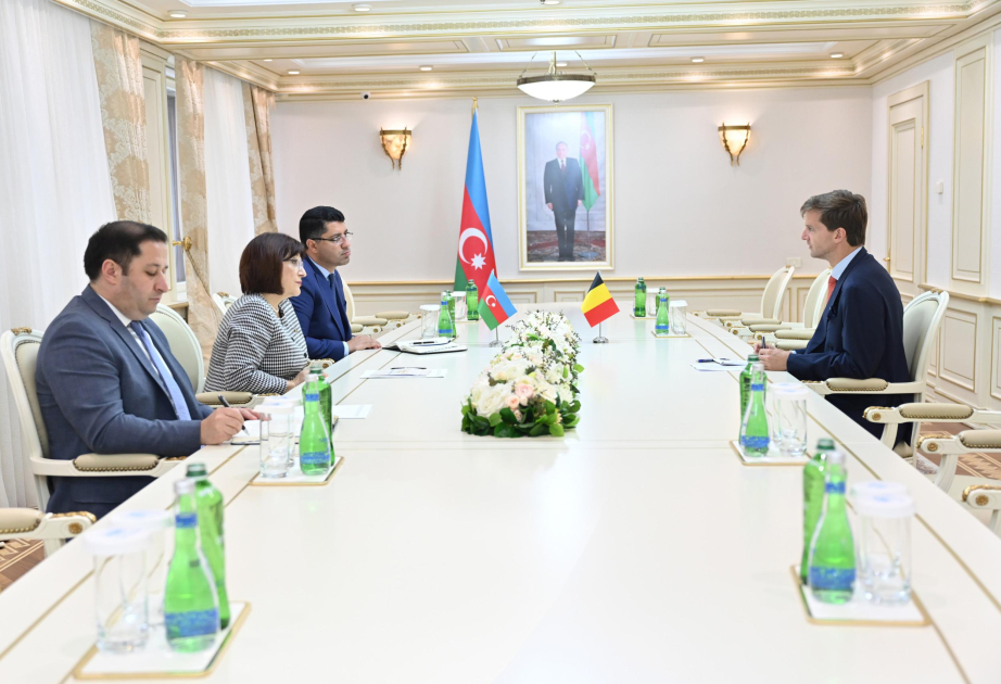 Azerbaijani Speaker, Belgian Ambassador Discuss Expanding Bilateral and Interparliamentary Cooperation