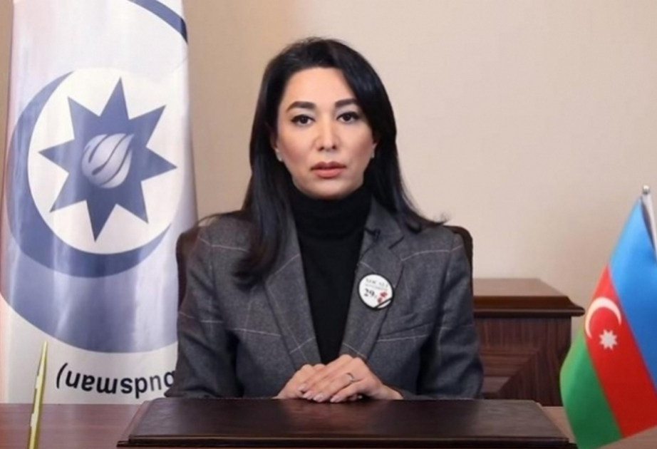 Azerbaijan’s Ombudsman Appeals to Russian Authorities Over Violence Against Azerbaijani Nationals in Yekaterinburg