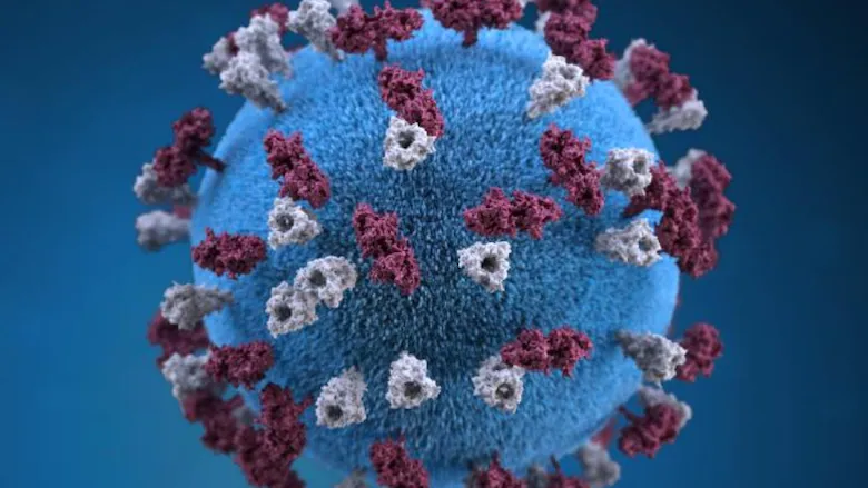 Measles
