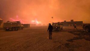 Canadian Armed Forces