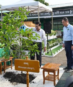 Accelerates Nationwide Reforestation Drive